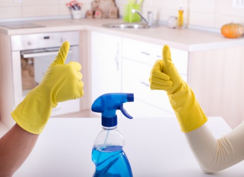 Supplier audit paperwork and compliance checks for carpet cleaning services