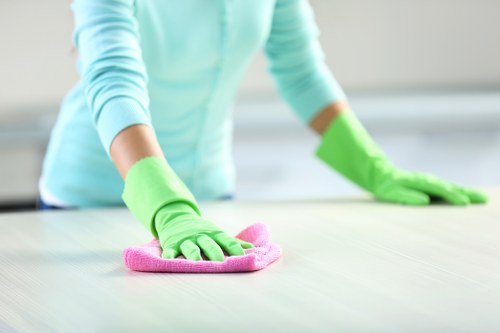 Fresh and clean East Barnet home after pet stain odour removal